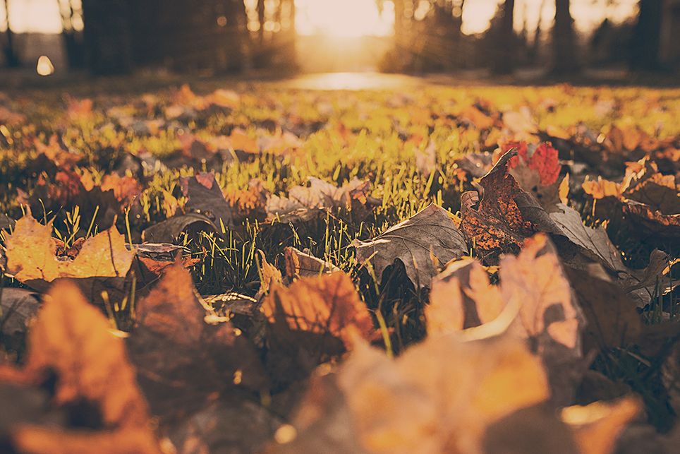 otoño otoño