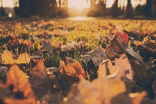 Predicciones para otoño: más cálido de lo habitual