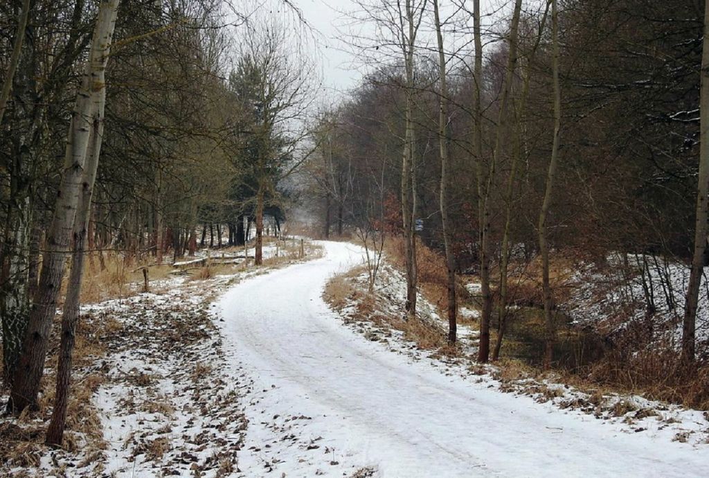 Selon toute vraisemblance, l'Allemagne connaîtra ses premières chutes de neige de la saison en plaine.