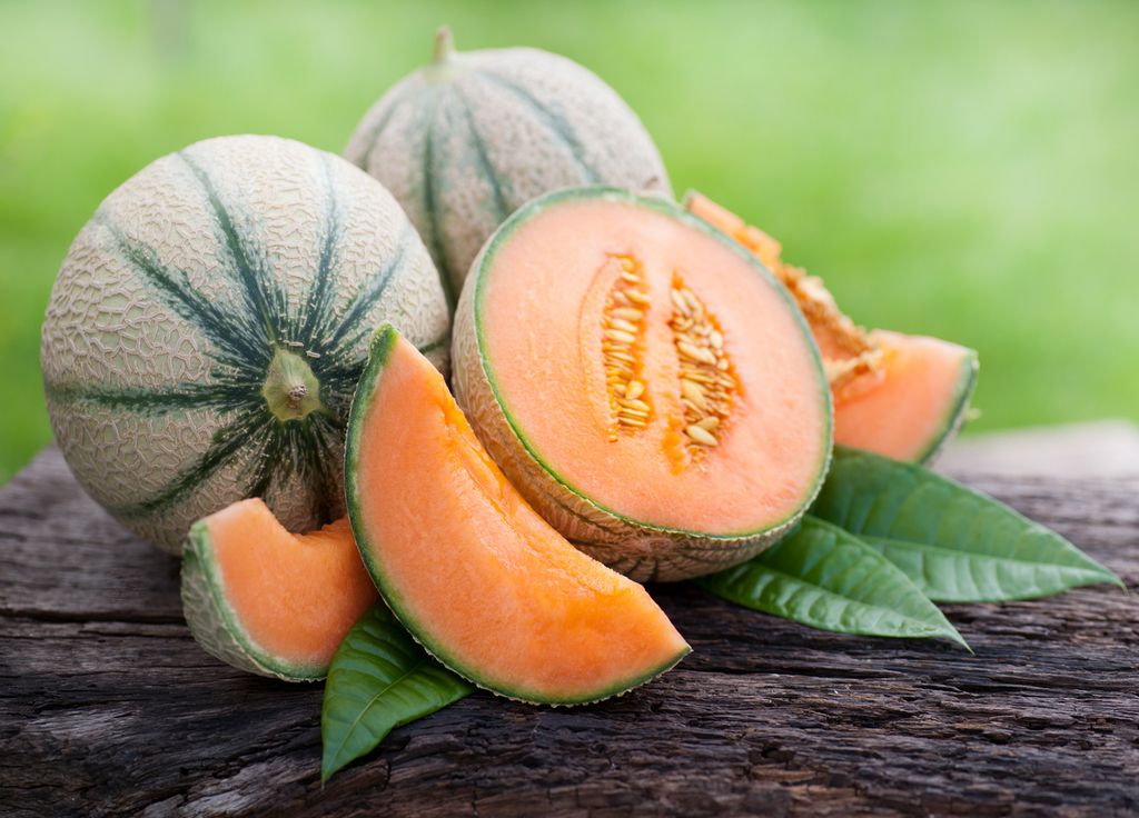 Il est aussi possible de cultiver vos propres melons dans votre jardin !