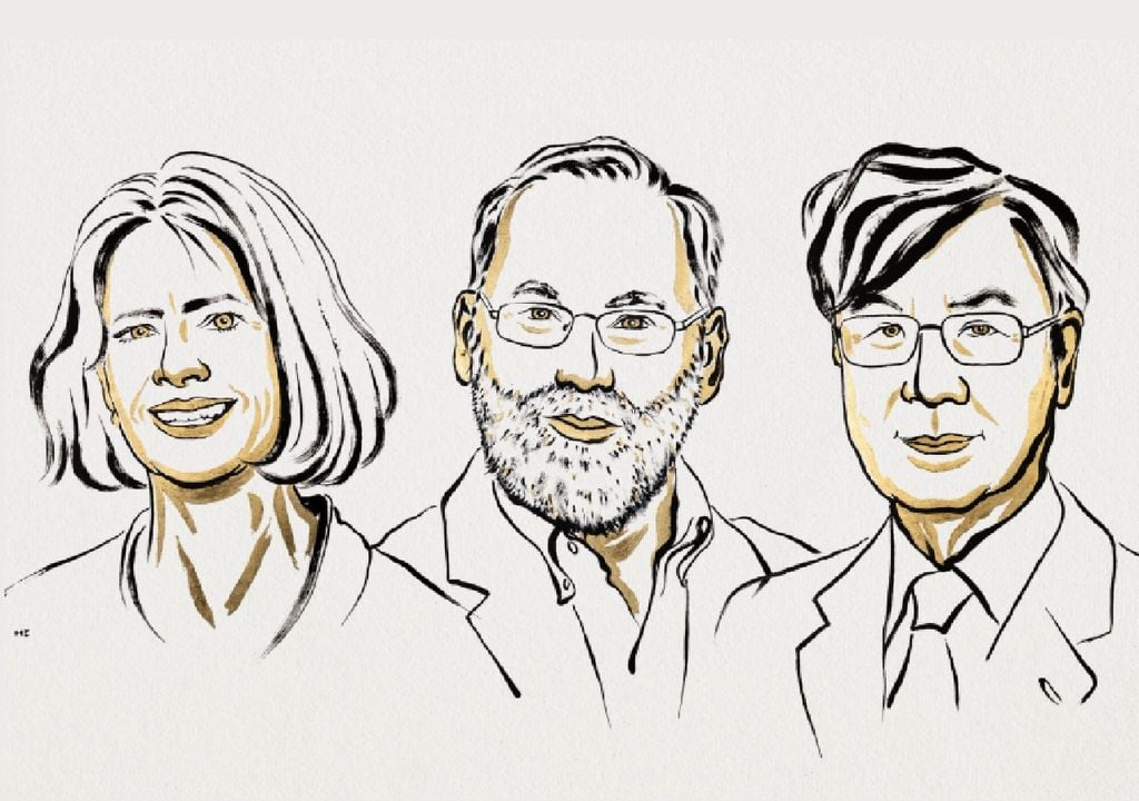 Premio Nobel en Medicina 2025 Premio Nobel en Medicina 2025