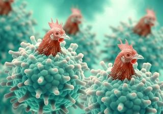 Global concern over worst bird flu crisis in history