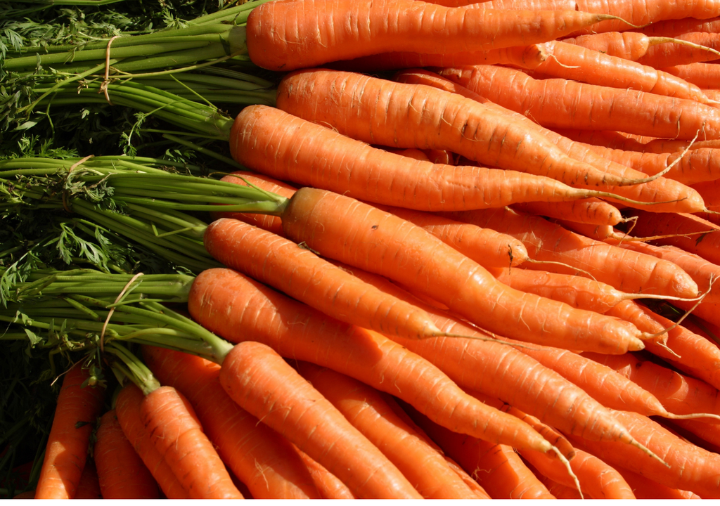 zanahorias zanahorias