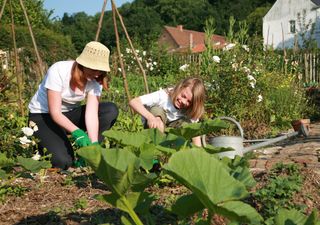 Calendario del huerto: qué plantar en marzo y cuáles son las tareas del mes