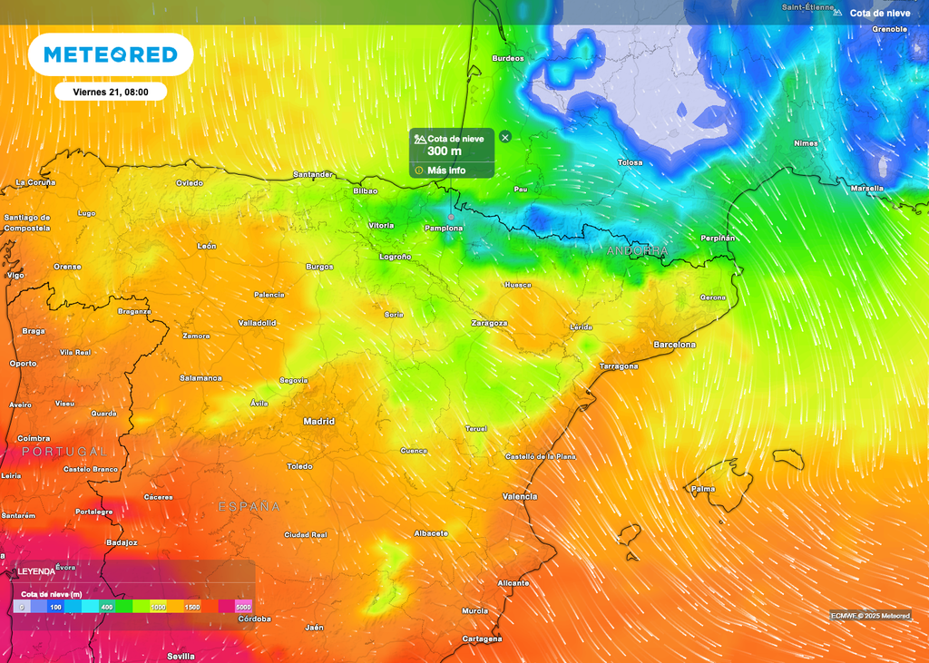 Cota de nieve Cota de nieve