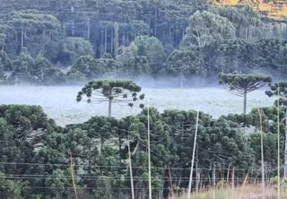 Prepare o casaco: parte do Brasil será atingida por ar frio na Páscoa, com risco de geada; confira as regiões