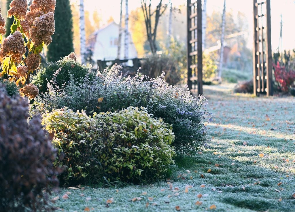 Malgré des journées froides, on peut encore faire quelques tâches au jardin.