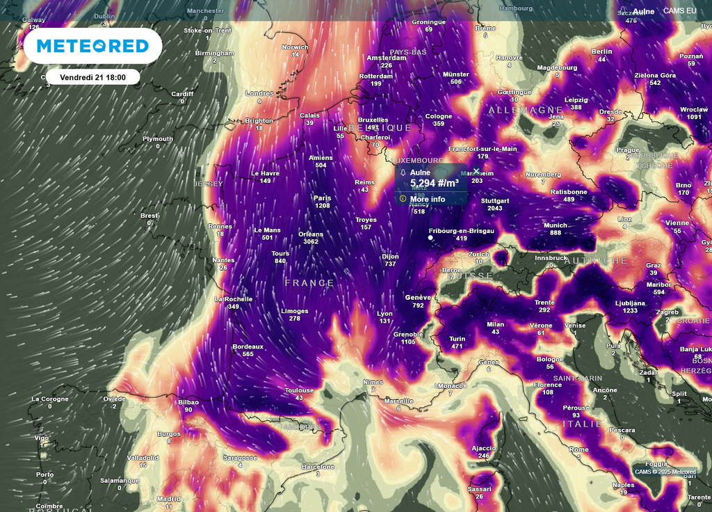 Concentration pollens Aulne vendredi