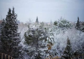 Presencia de nieve en Chihuahua