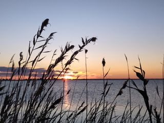 Presente y futuro de la Albufera de València ante el cambio climático