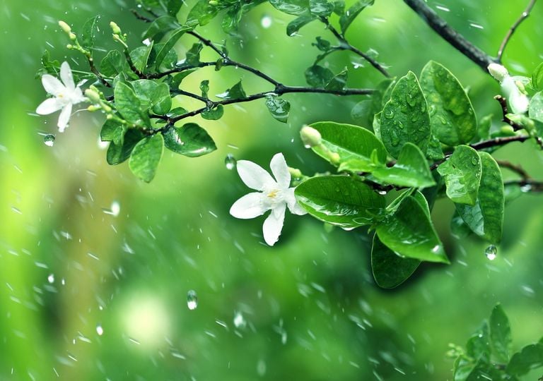 Previs&atilde;o mensal: o tempo em abril em Portugal, segundo o modelo europeu