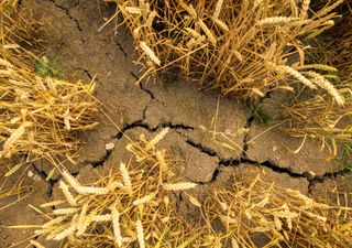 Até quando podem ir as chuvas irregulares no Rio Grande do Sul?