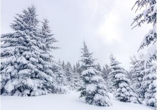 Previsión de nieve para el puente de diciembre, ¿dónde nevará más y qué estaciones de esquí saldrán beneficiadas?