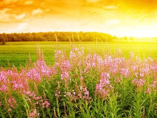 Previsión meteorológica para la primavera 2019