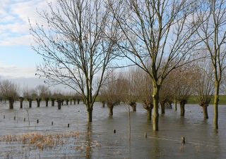 Previsioni, ancora tanta pioggia sull’Italia: fiumi in piena