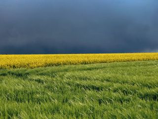 Previsioni: continua la latitanza dell’alta pressione