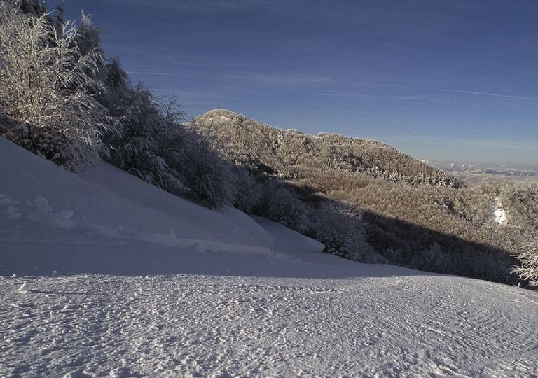neve-febbraio2020 neve-febbraio2020