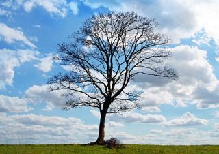 Previsioni per il fine settimana: in arrivo piogge al sud, poi sole ovunque