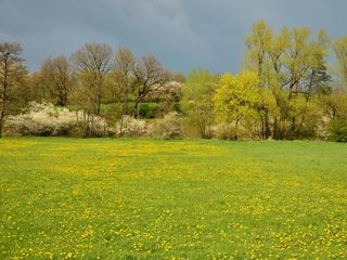 Le previsioni meteo aggiornate per il 25 aprile