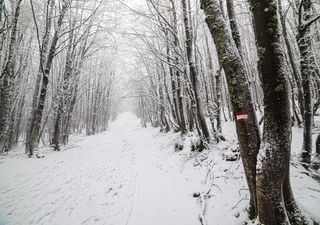 Previsioni Meteo: da mercoledì si cambia, freddo e neve in Appennino