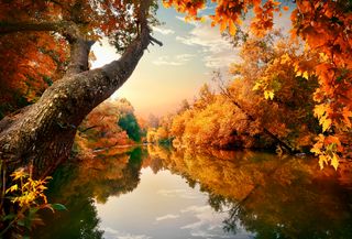 Previsioni meteo per Ognissanti e weekend di Halloween: caldo anomalo in Italia, nebbia e smog in pianura. Dove pioverà?