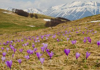 Meteo, ecco le prime tendenze per la Pasqua 2021