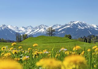 Previsioni Meteo: settimana mite, poi possibile ritorno del freddo?