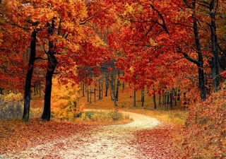 Previsioni meteo: vistoso calo termico da mercoledì, ecco i dettagli