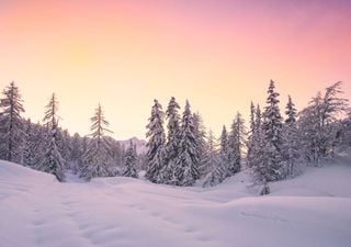 Le previsioni per febbraio in Italia, del meteorologo Daniele Ingemi: ci aspetta un mese dinamico, possibili sorprese