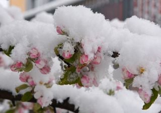 Previsioni per la primavera 2026 in Italia: tendenze fino al mese di giugno