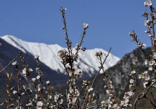 Previsioni per la seconda metà di febbraio: un assaggio di primavera, e poi?