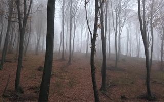 Previsioni: piogge in arrivo sabato, migliora la qualità dell’aria