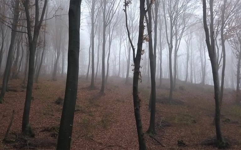 PREVISIONI METEO PREVISIONI METEO