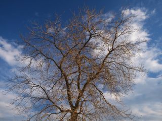 Previsioni: week-end primaverile ma aprile promette pioggia