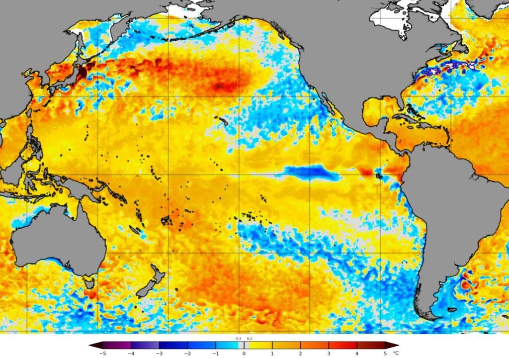 Le champ d'anomalies de température de surface de la mer (SST) pour le 5 mai 2024 montre l'émergence d'anomalies SST négatives dans le Pacifique tropical. Source : NOAA Coral Reef.