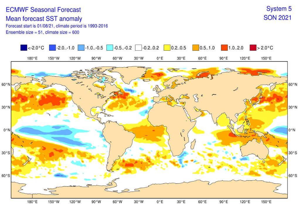 SST anomaly ECMWF SST anomaly ECMWF