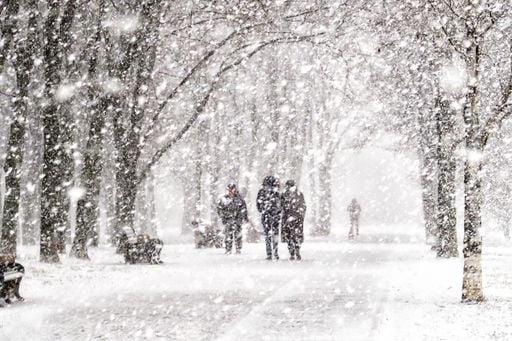 Primavera 2026 in ritardo in Europa? L'avvertimento dell'esperto sul riscaldamento stratosferico