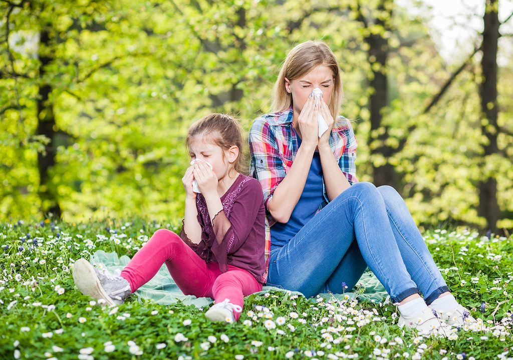 Llegó la primavera y el cuerpo de los alérgicos ¡lo sabe y lo siente! Llegó la primavera y el cuerpo de los alérgicos ¡lo sabe y lo siente!