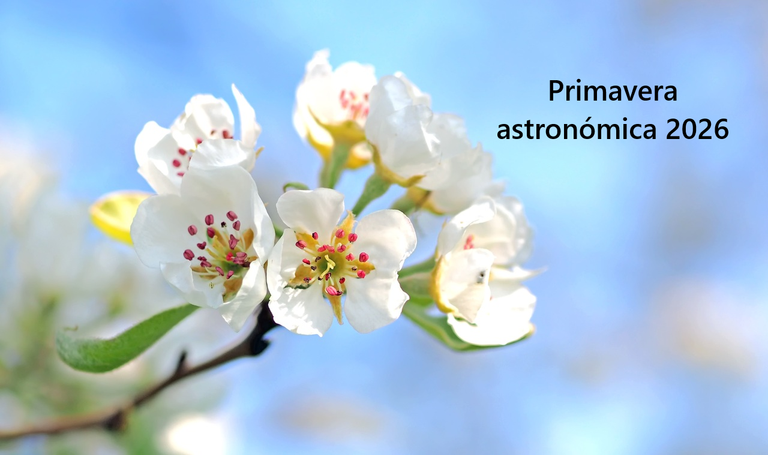 Ma&ntilde;ana se inicia la primavera astron&oacute;mica de 2026 que durar&aacute; 92 d&iacute;as y 18 h: caracter&iacute;sticas principales