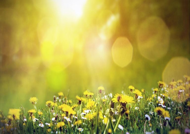 Primavera climatológica: que tempo nos reserva março, abril e maio? Primavera climatológica: que tempo nos reserva março, abril e maio?
