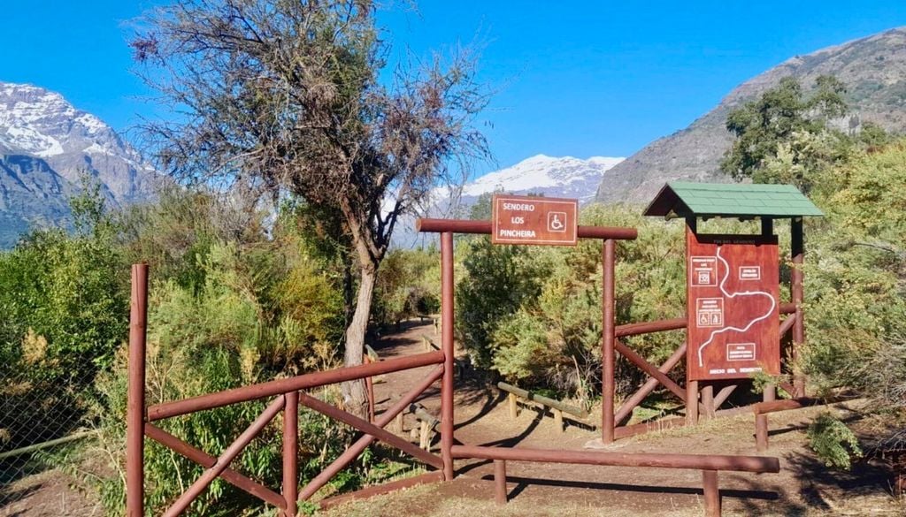 Reserva Nacional Río de Los Cipreses. Reserva Nacional Río de Los Cipreses, Región de O’Higgins. Crédito: CONAF.