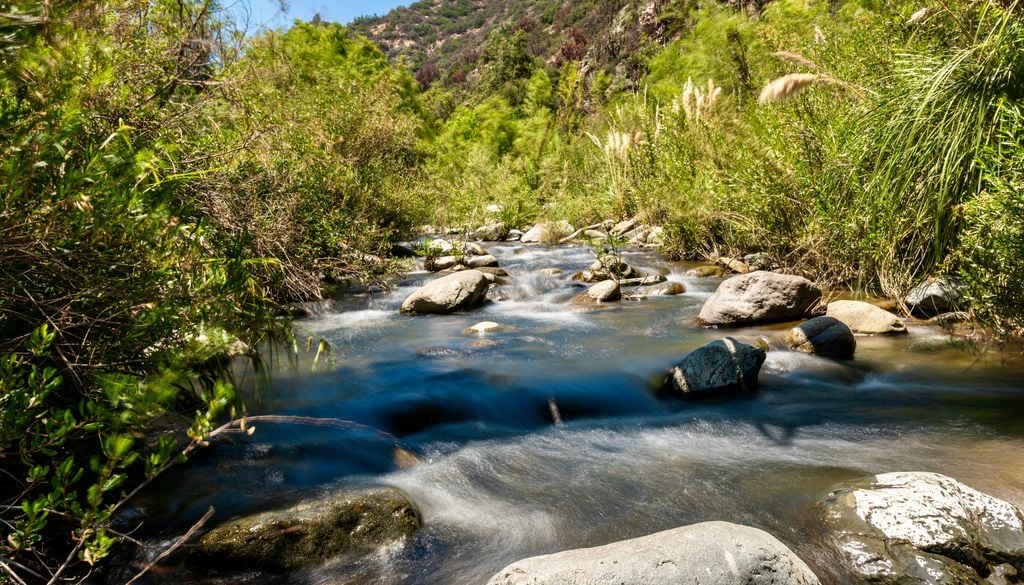 Parque Nacional Río Clarillo, Región Metropolitana. Parque Nacional Río Clarillo, Región Metropolitana.