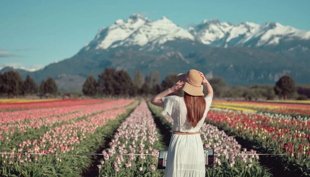 Primavera en Trevelin 2026: cuándo abre, cómo llegar y cuánto cuesta visitar el Campo de Tulipanes Primavera en Trevelin 2026: cuándo abre, cómo llegar y cuánto cuesta visitar el Campo de Tulipanes | Foto: Turismo Trevelin