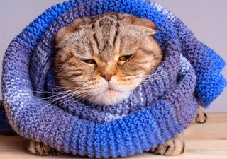 Primavera começa com ciclone extratropical, muita chuva, neve e geada