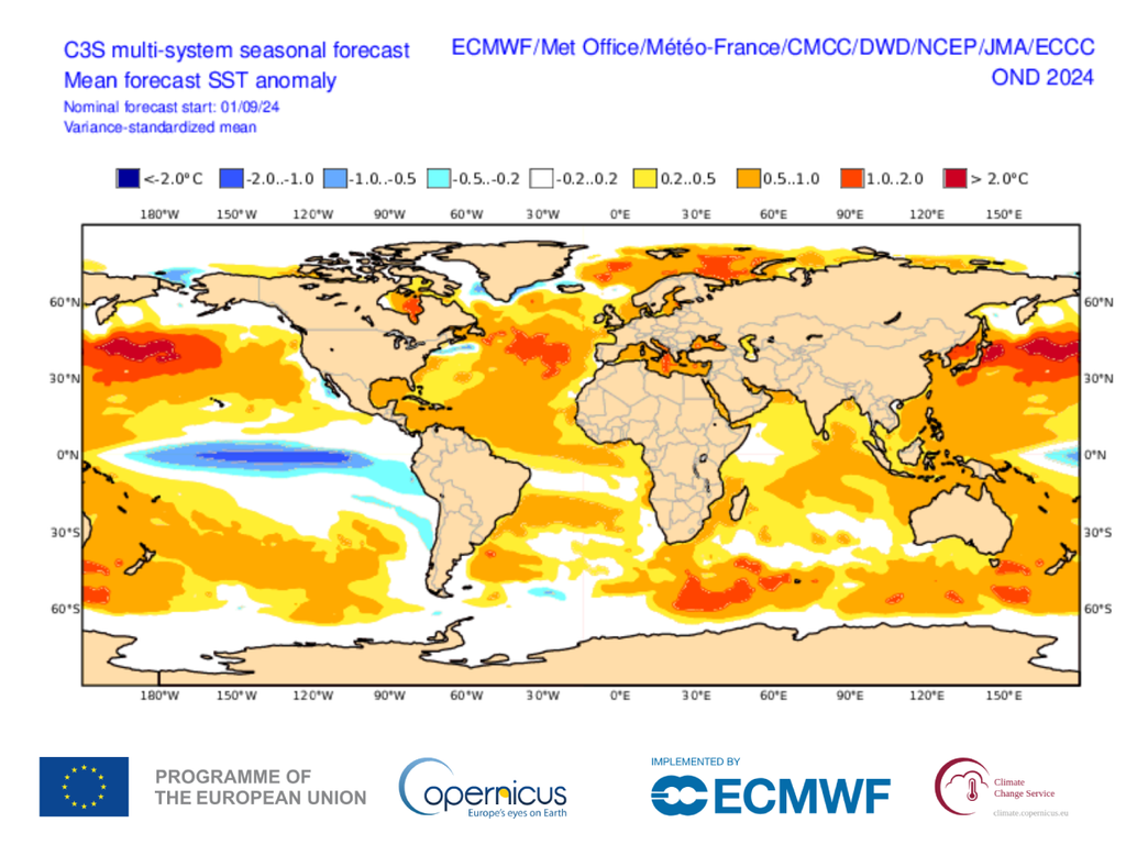 previsão, ecmwf, temperatura do mar previsão, ecmwf, temperatura do mar