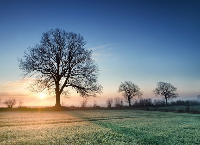 Primeira massa de ar frio mais intensa pode chegar ainda em abril