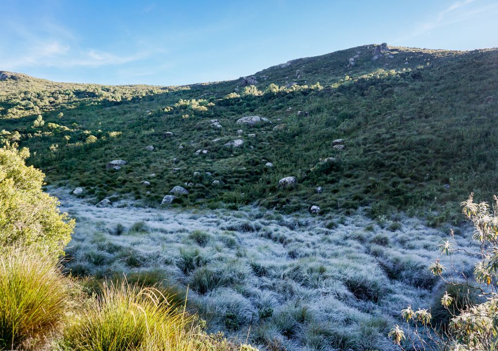 Parque Nacional do Itatiaia, localizado a mais de 2000m de altitude registra as menores temperaturas do Brasil. Parque Nacional do Itatiaia, localizado a mais de 2000m de altitude registra as menores temperaturas do Brasil.