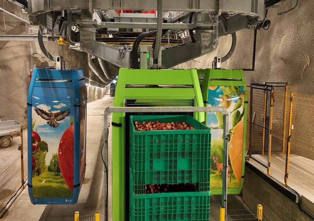 Agricultura sustentável