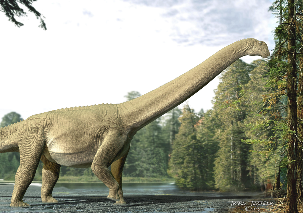 Diamantinasaurus matildae Diamantinasaurus matildae