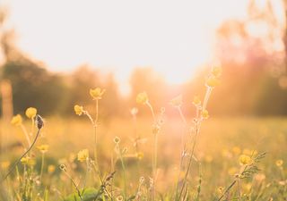 Primer fin de semana de primavera con algunas lluvias